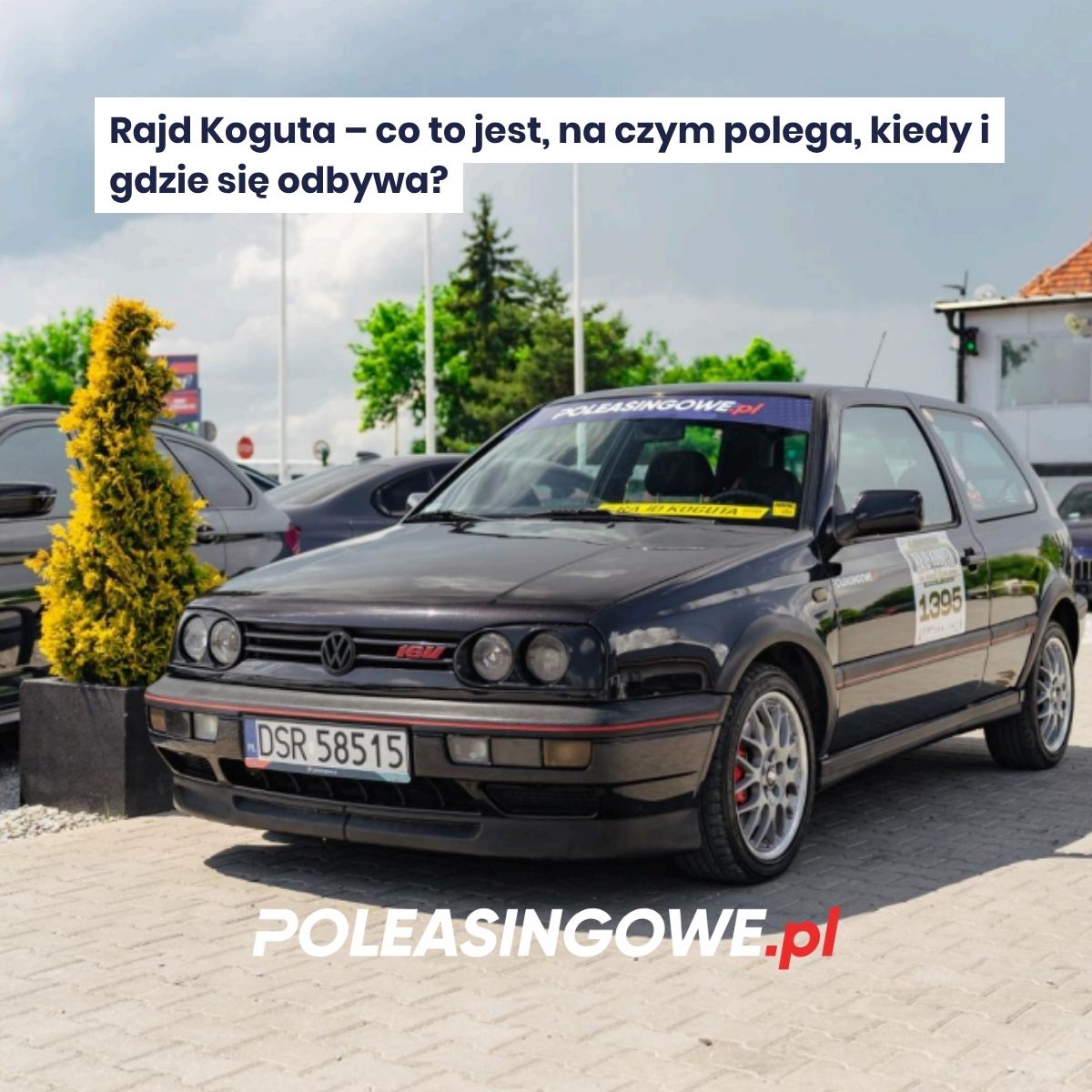 rajd koguta