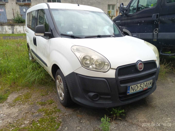zdjęcie