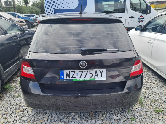 zdjęcie