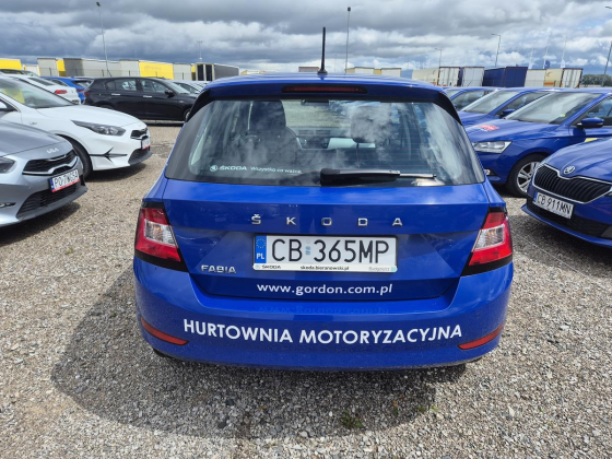 zdjęcie