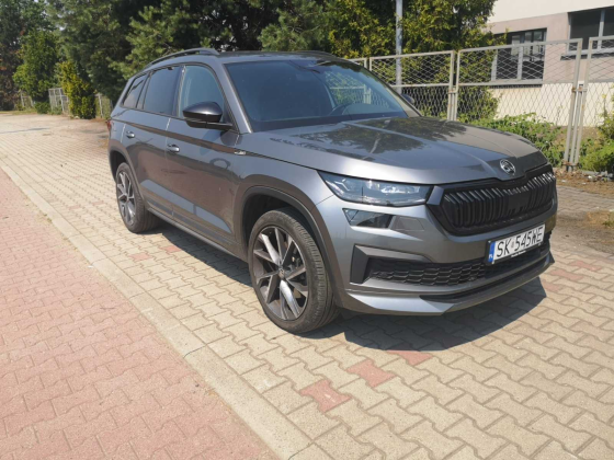 zdjęcie