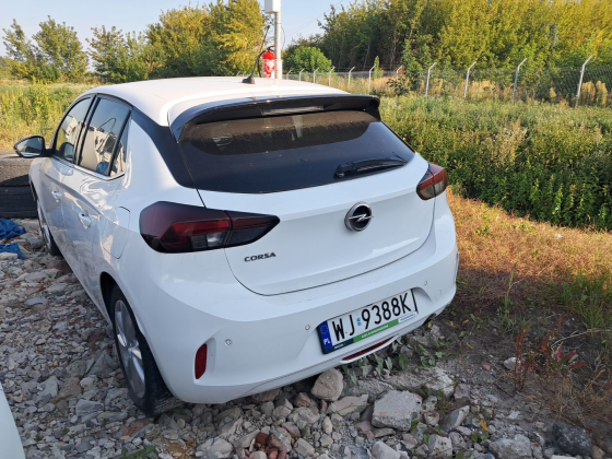 zdjęcie