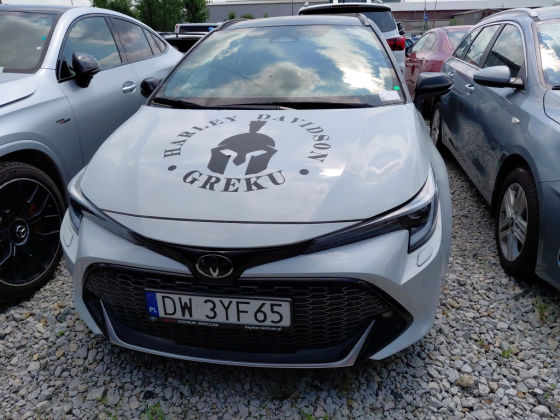 zdjęcie