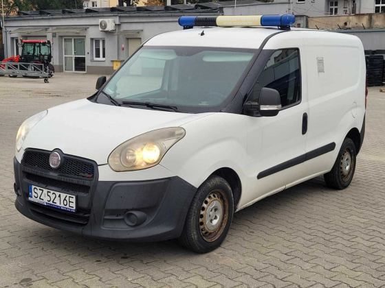 zdjęcie