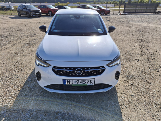 zdjęcie