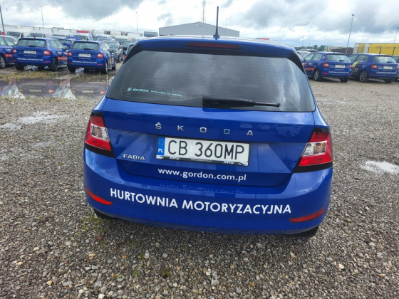 zdjęcie