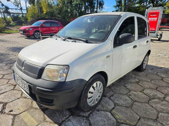zdjęcie