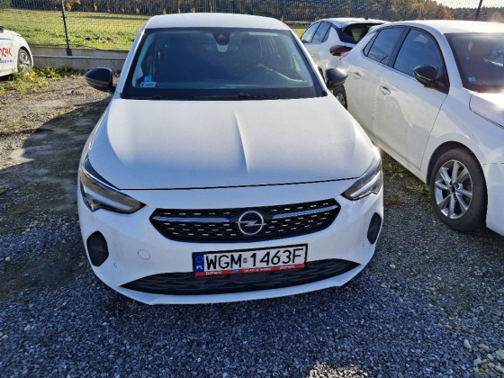 zdjęcie