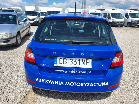 zdjęcie