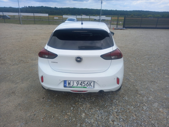zdjęcie