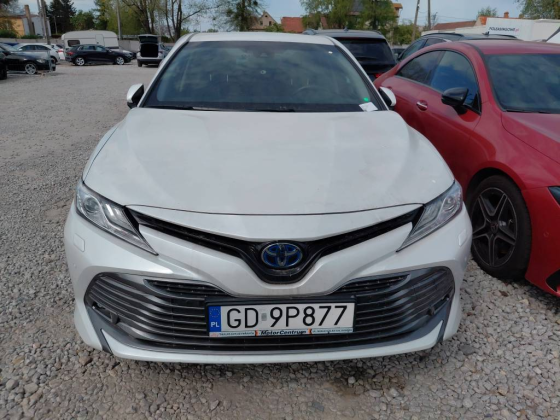 zdjęcie